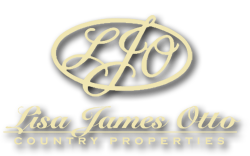 Lisa James Otto